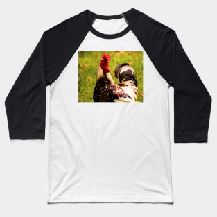 122915 Rooster guapo Baseball T-Shirt